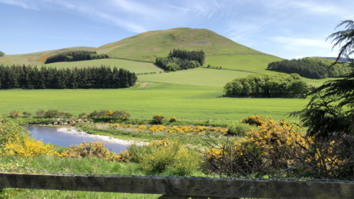 green hills with yellow creek running through on other side of a wooden fence